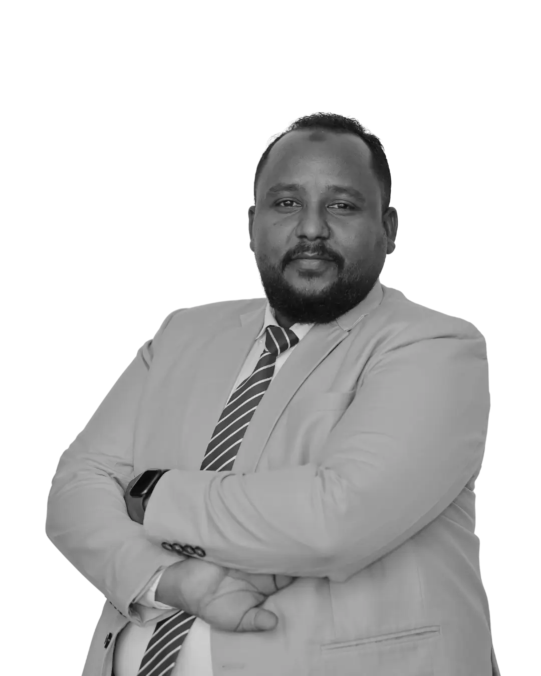Team Member